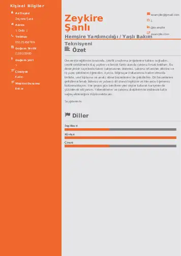 Hasta ve Yaşlı Bakım Elemanı Cv Örnekleri cv indir